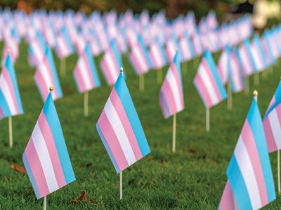 Trans Memorial Flags Removed from Boston Common